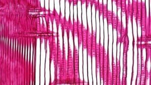 abstract bright design